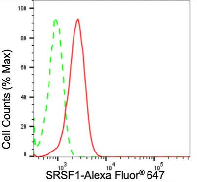 SF2 Antibody (24GB2255)