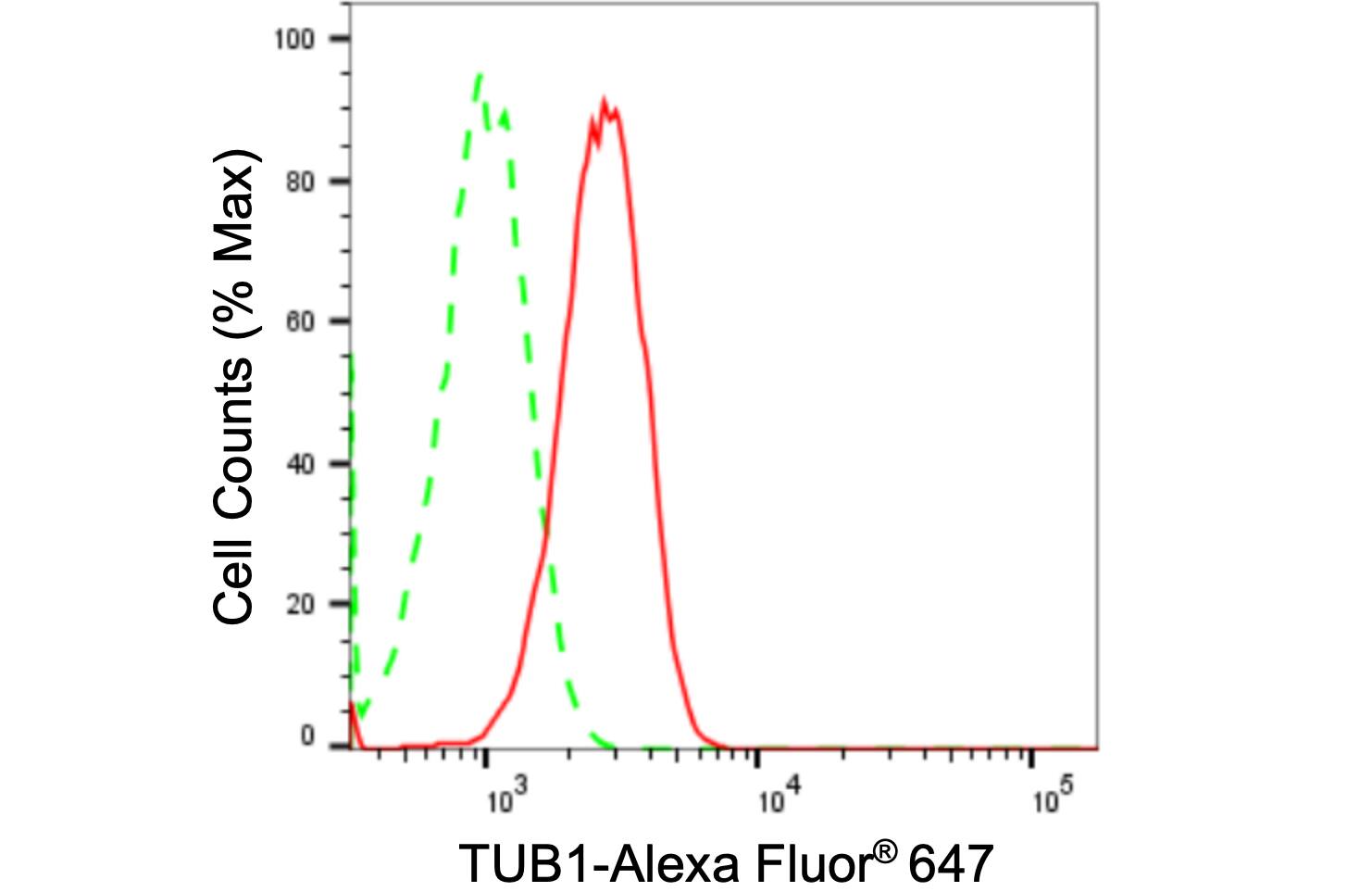 Tubby Antibody (24GB1795)