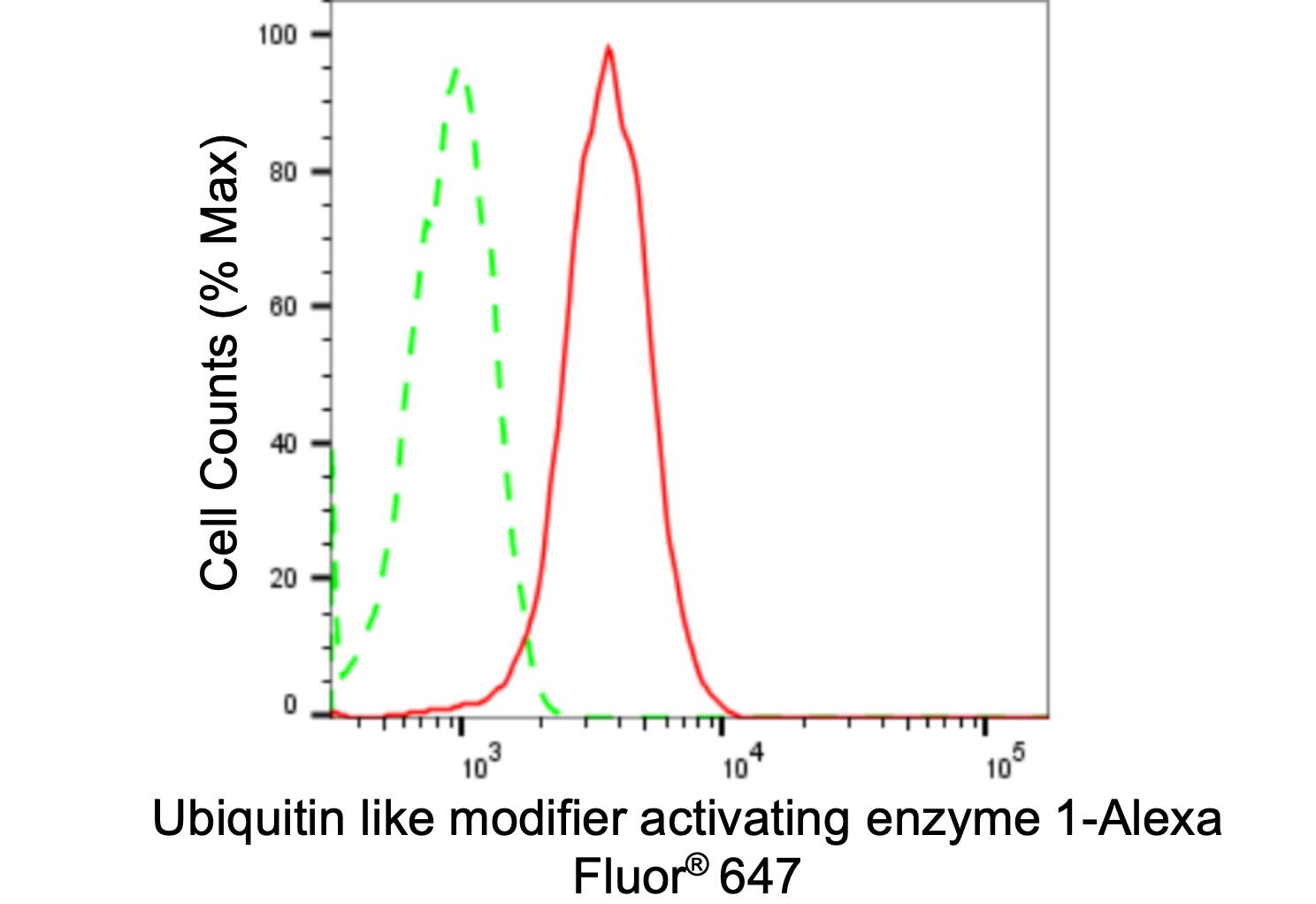 Ubiquitin-activating Enzyme/UBE1 Antibody (24GB2435)