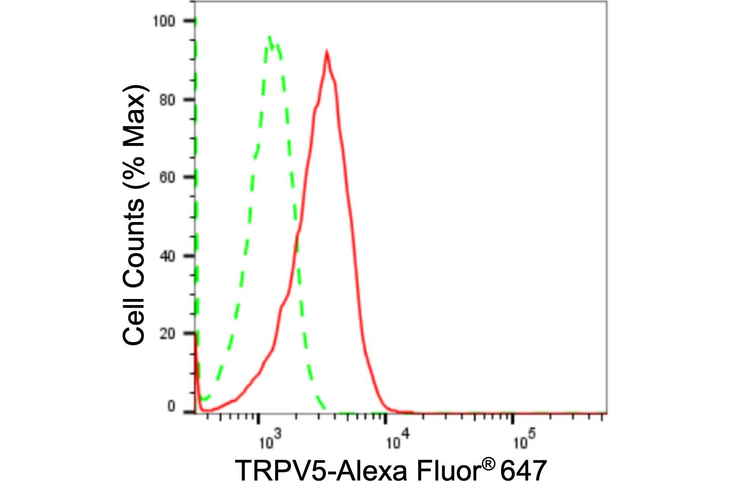 TRPV5 Antibody (24GB1850)
