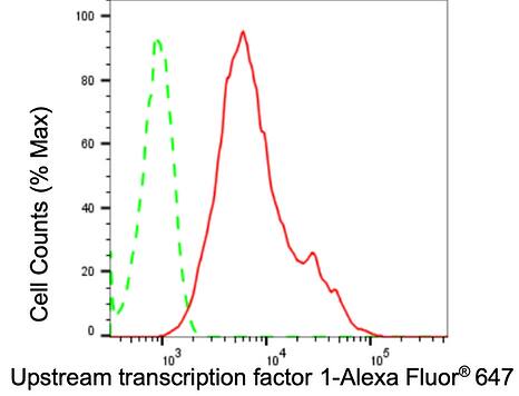 USF1 Antibody (24GB1890)