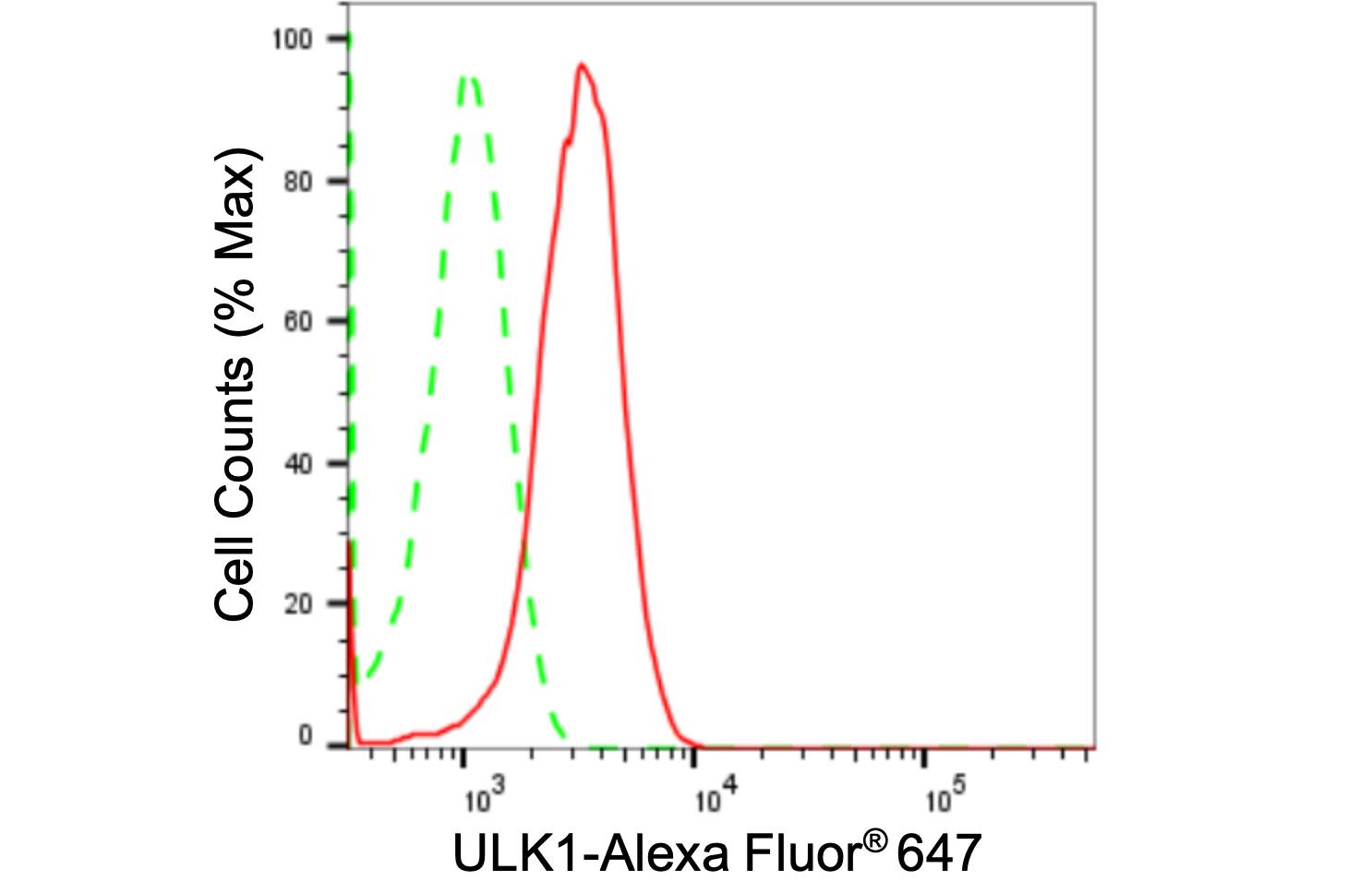 ULK1 Antibody (24GB2195)