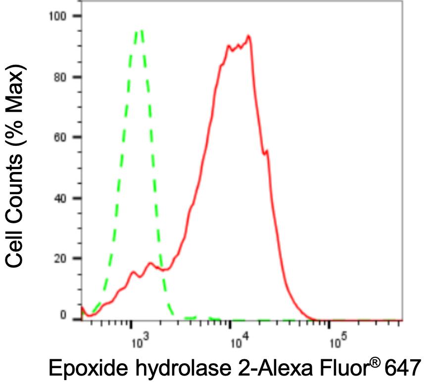 EPHX2 Antibody (24GB3070)