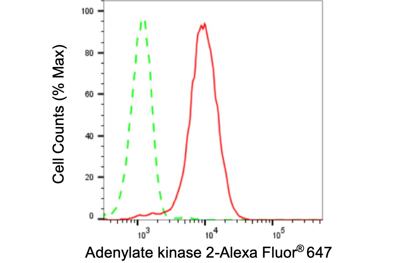 AK2 Antibody (24GB3075)
