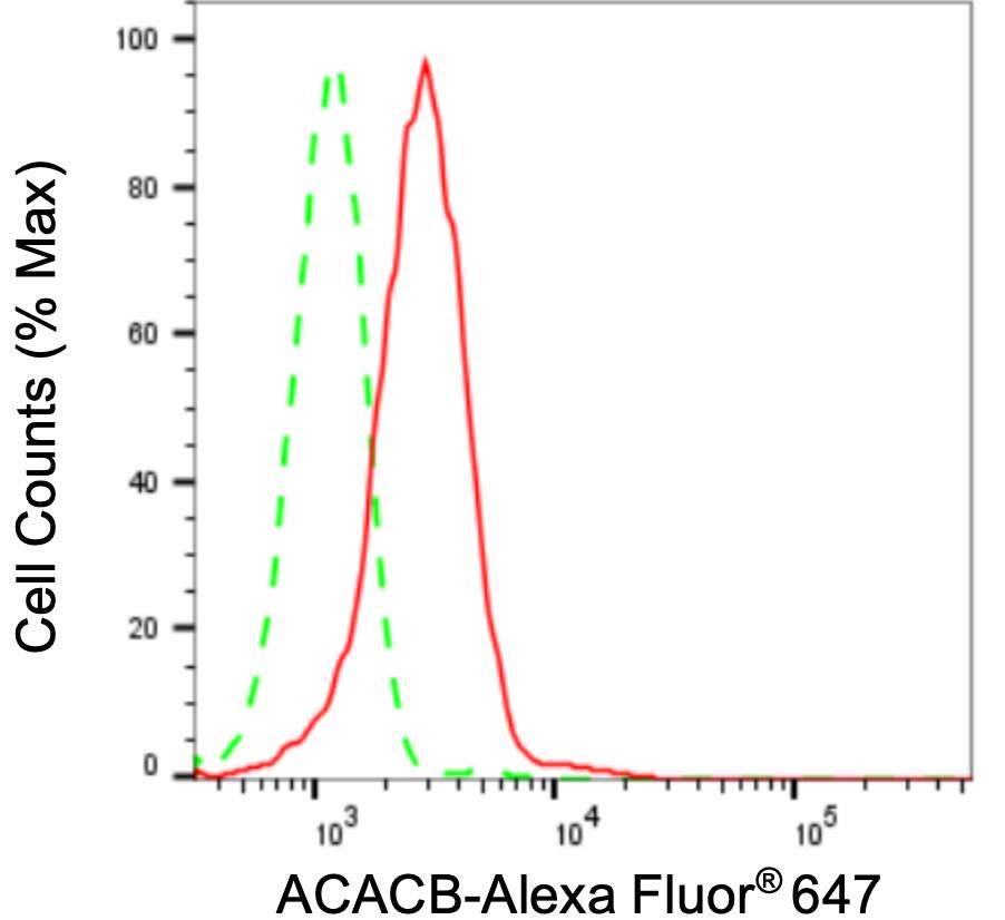 Acetyl Coenzyme A Carboxylase Beta Antibody (24GB3230)