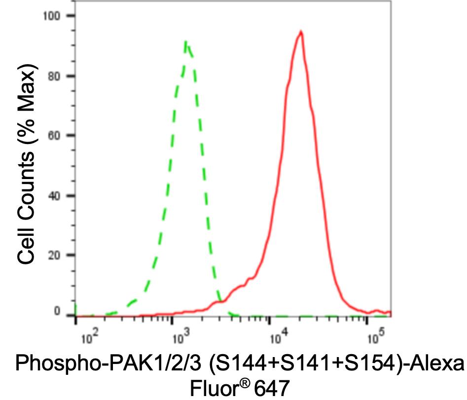 PAK1/2/3 [p Ser154] Antibody (24GB3960)