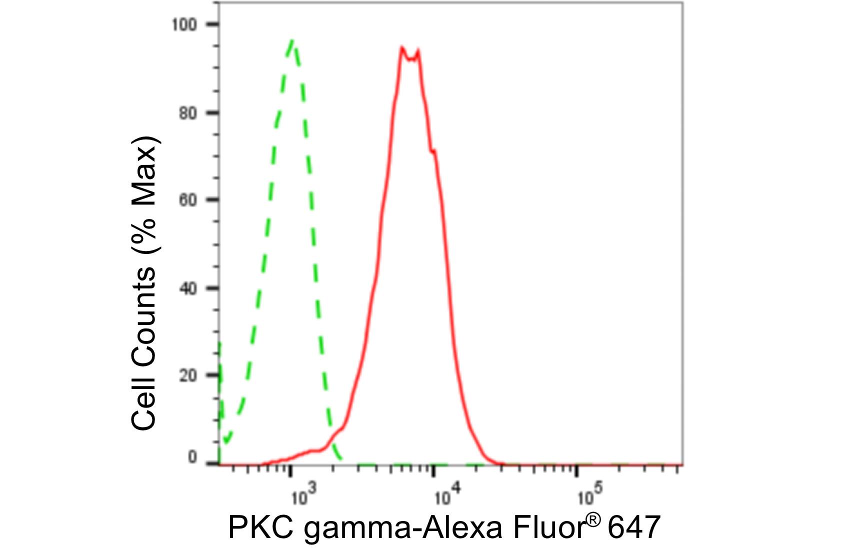 PKC gamma Antibody (24GB4495)