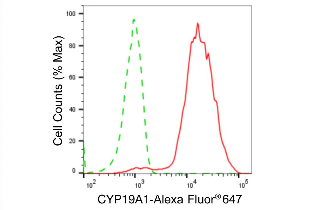 Aromatase Antibody (24GB4800)