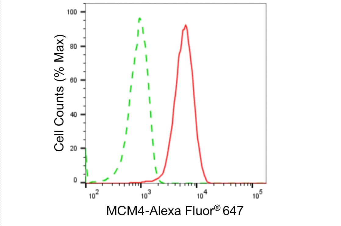 MCM4 Antibody (24GB4960)