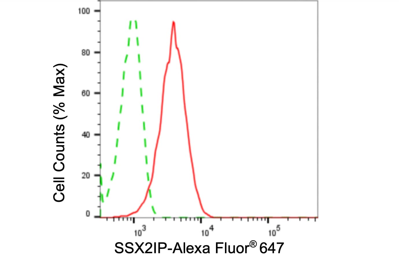 SSX2IP Antibody (24GB5255)