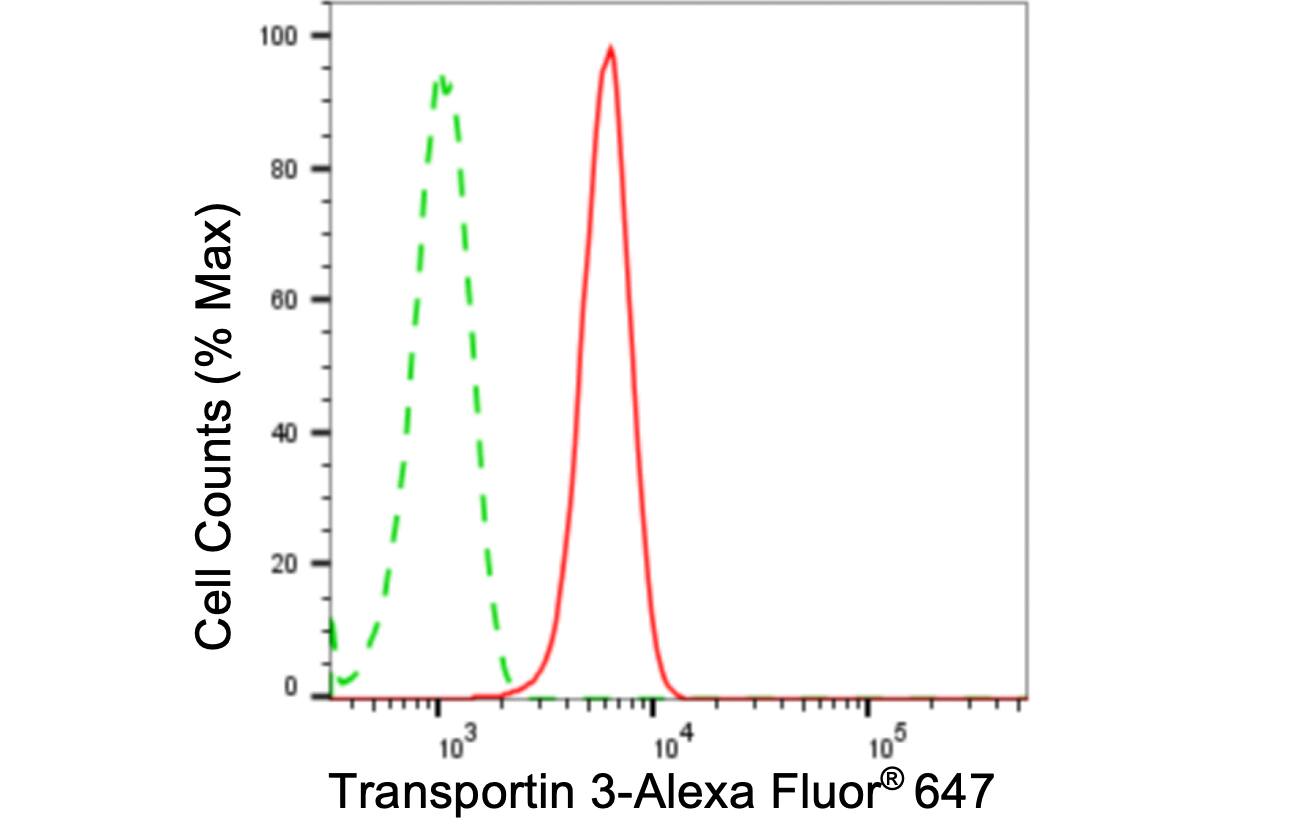TNPO3 Antibody (24GB5295)