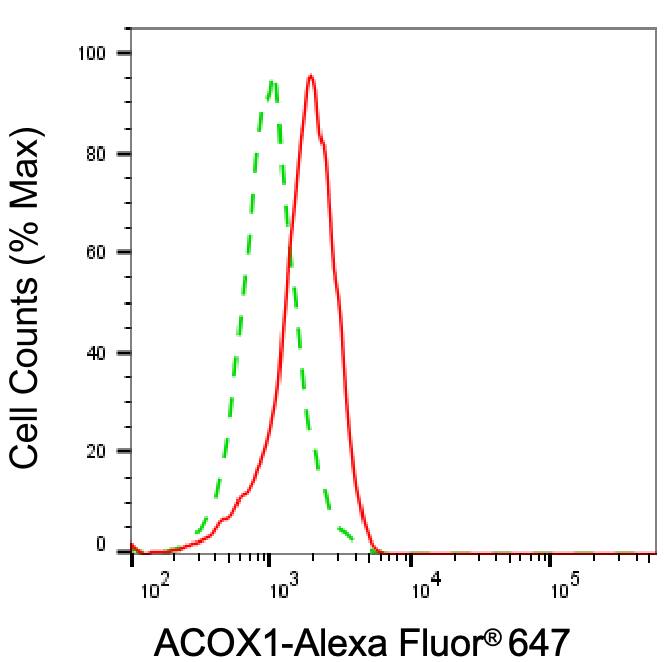ACOX1 Antibody (24GB5340)