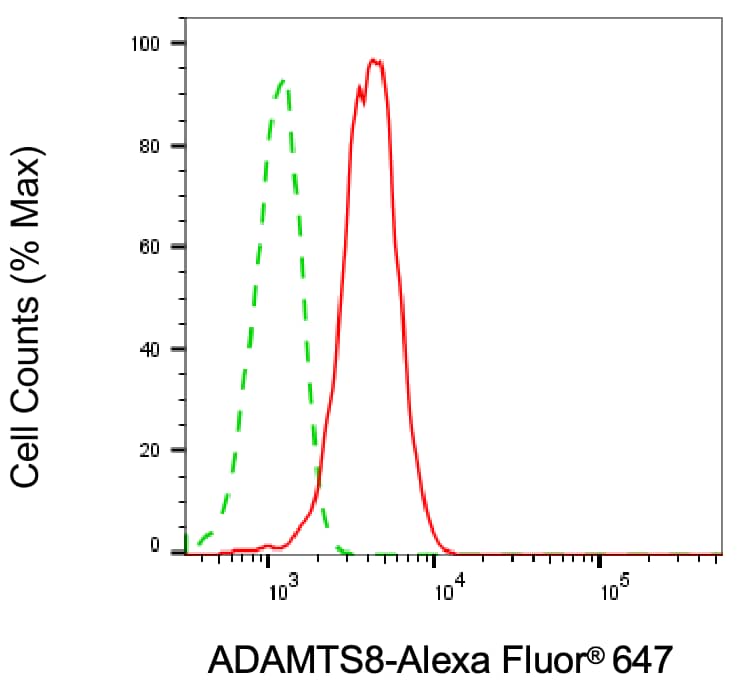 ADAMTS8 Antibody (24GB6510)
