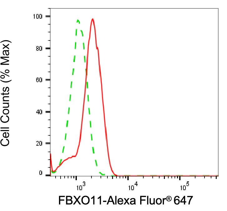 FBXO11 Antibody (24GB6550)