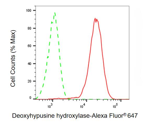 HLRC1 Antibody (24GB13620)