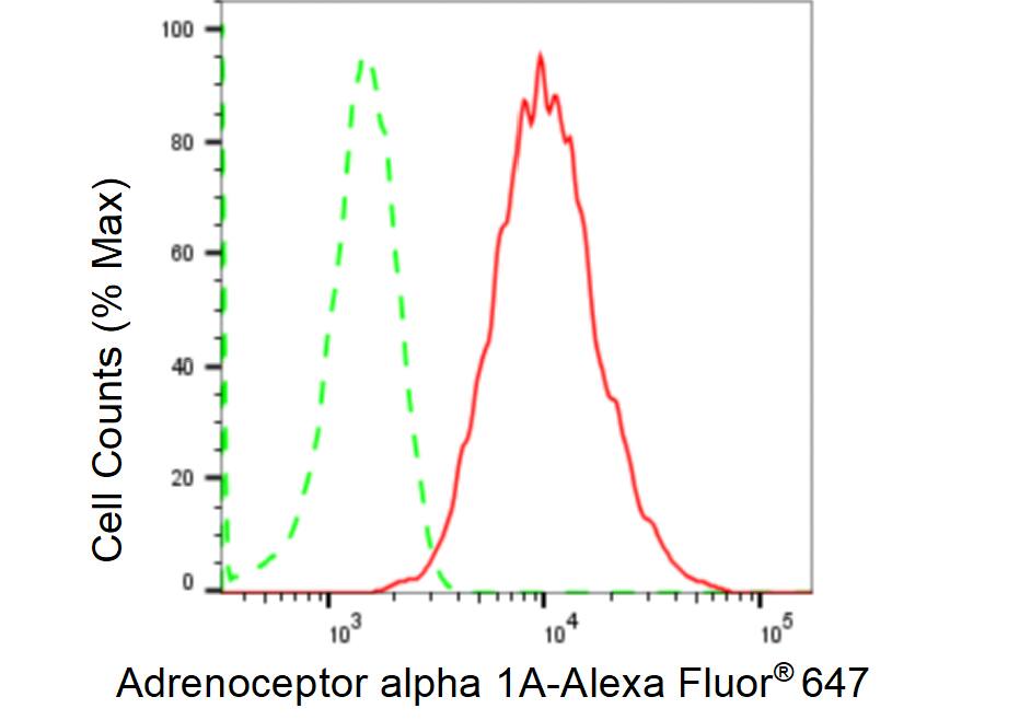 alpha-1A Adrenergic R/ADRA1A Antibody (23GB1655)