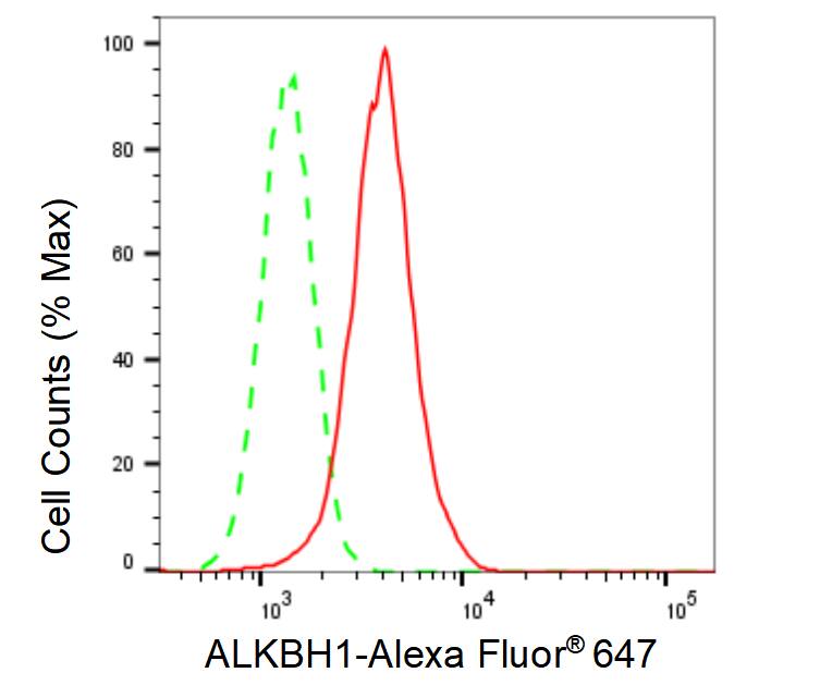 ABH1 Antibody (23GB1265)