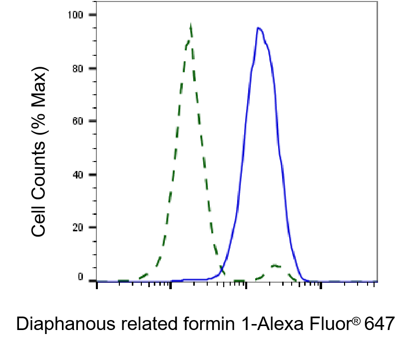 DIAPH1 Antibody (23GB1990)