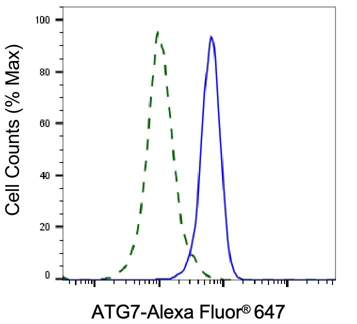 ATG7 Antibody (24GB5975)
