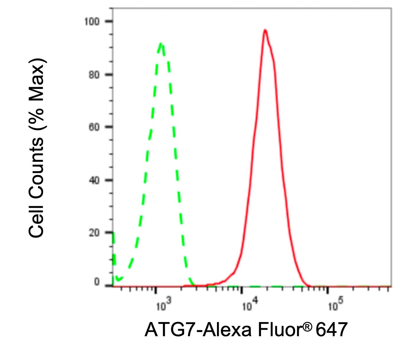 ATG7 Antibody (24GB5975)
