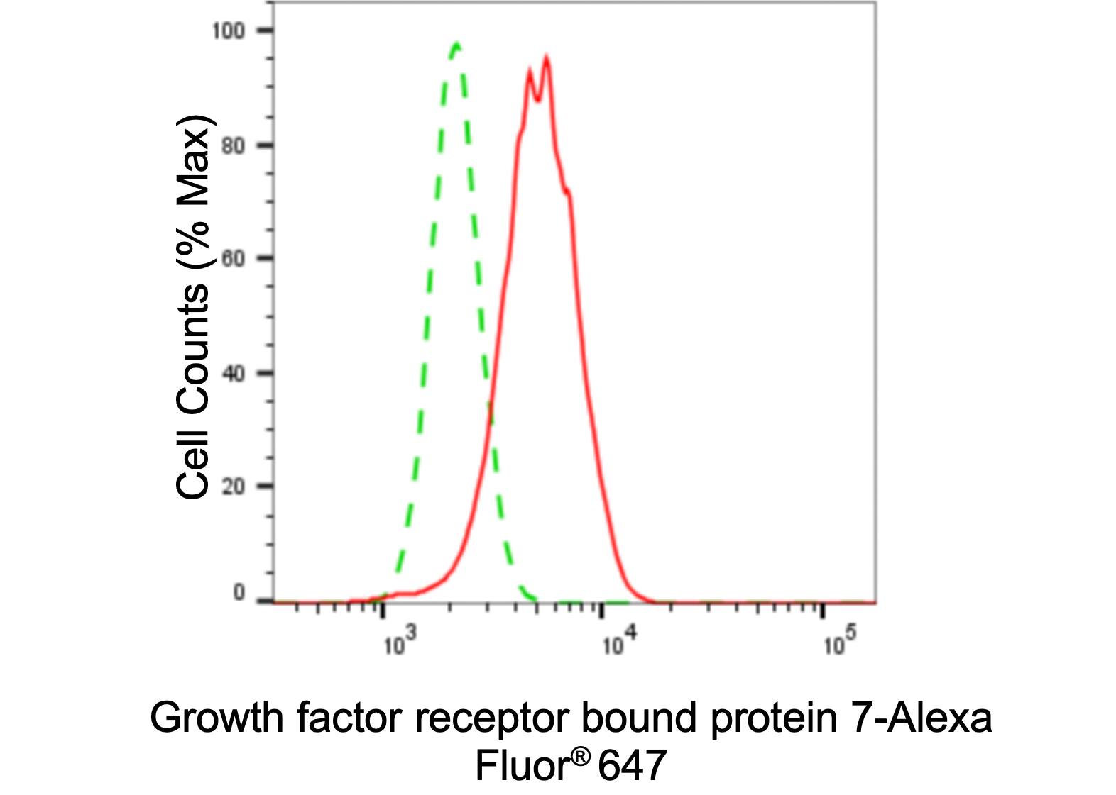 GRB7 Antibody (24GB6000)