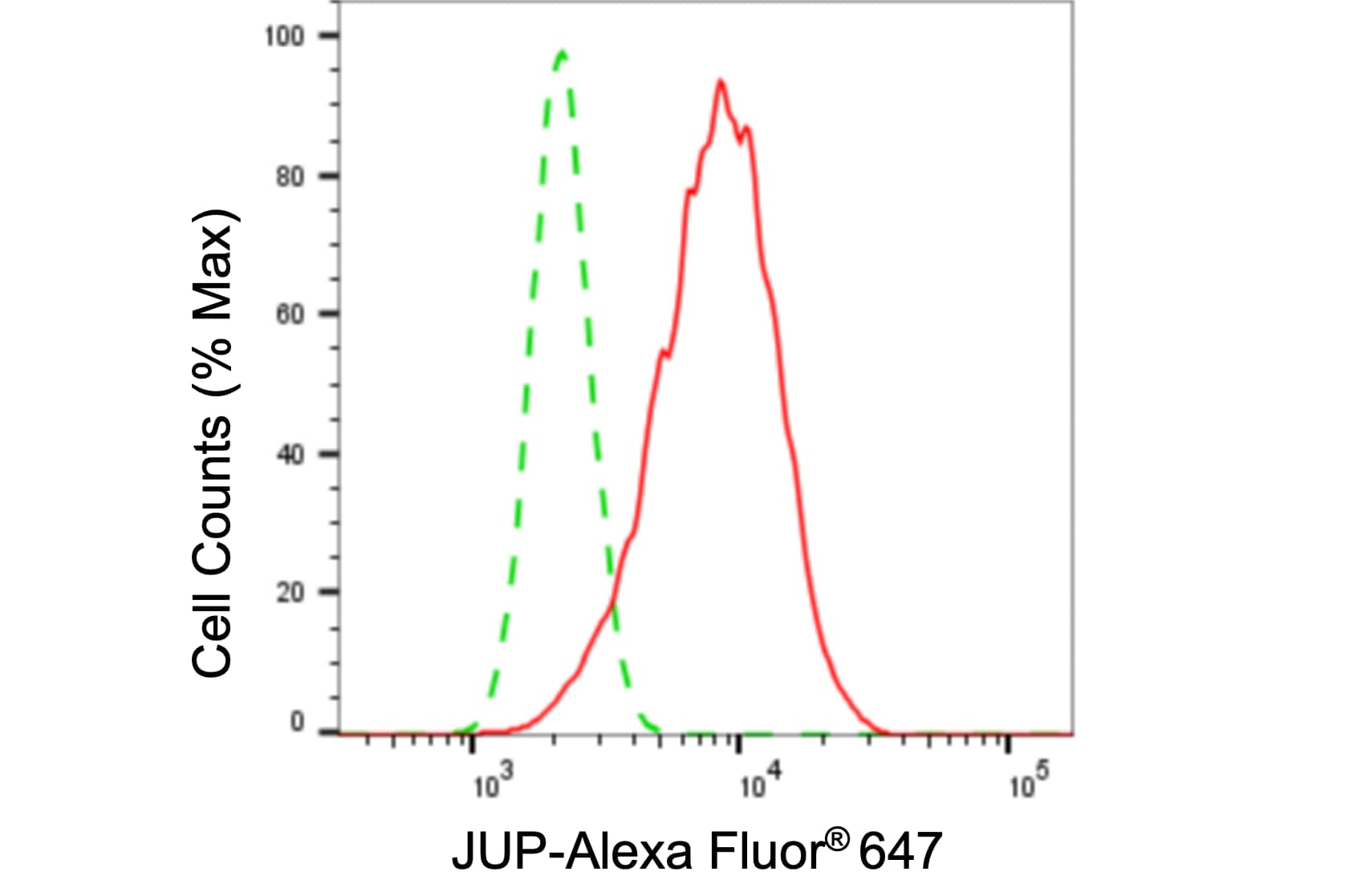 gamma Catenin Antibody (24GB6055)