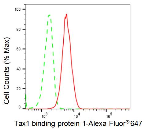 TAX1BP1 Antibody (23GB2100)