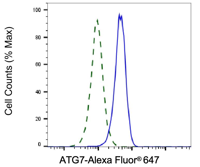 ATG7 Antibody (24GB6075)