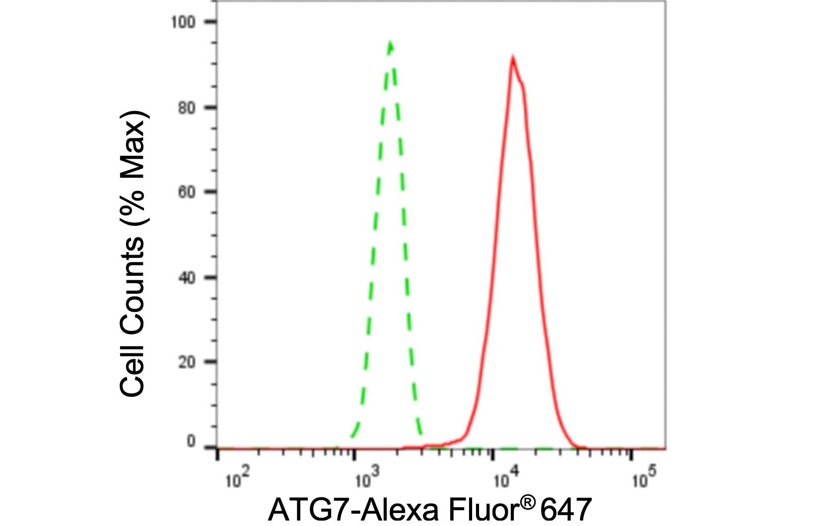 ATG7 Antibody (24GB6075)