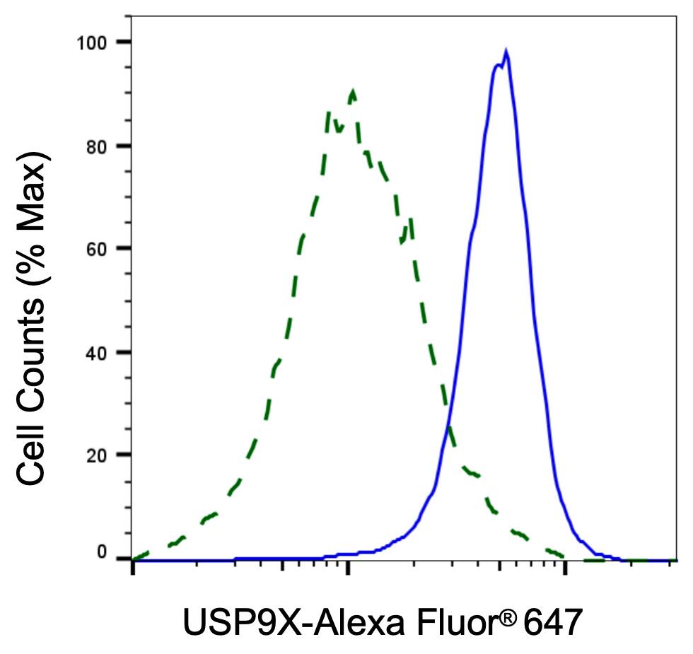 USP9x Antibody (24GB6090)
