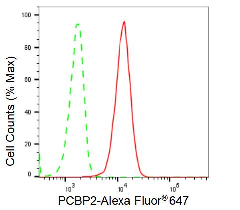 PCBP2 Antibody (23GB2110)