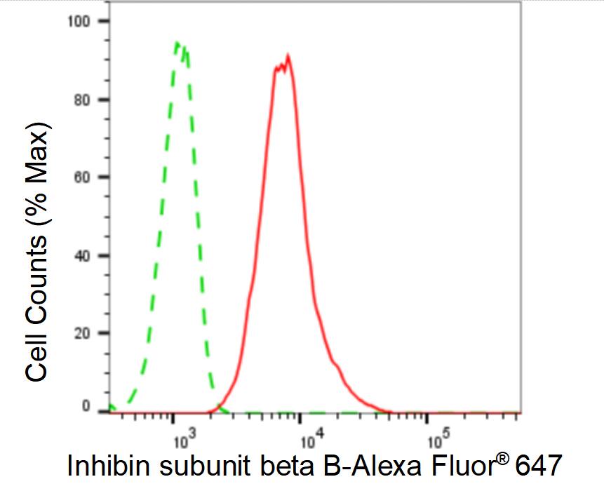 Activin B/Inhibin beta B Antibody (24GB6100)