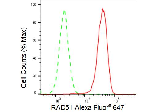 Rad51 Antibody (23GB2275)