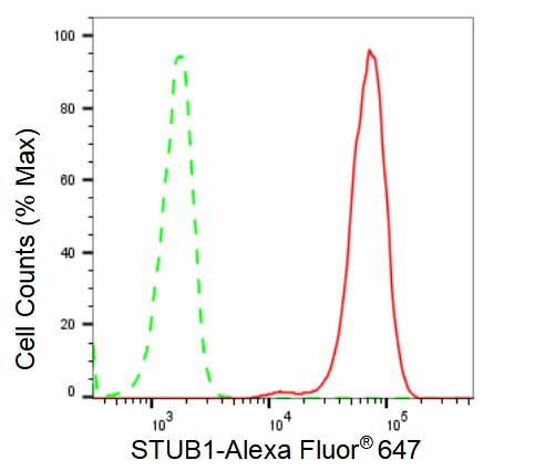 CHIP/STUB1 Antibody (23GB2345)