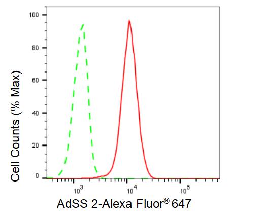Adenylosuccinate Synthase Antibody (23GB630)