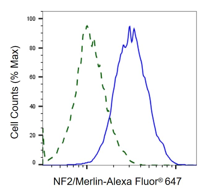 NF2/Merlin Antibody (23GB2620)