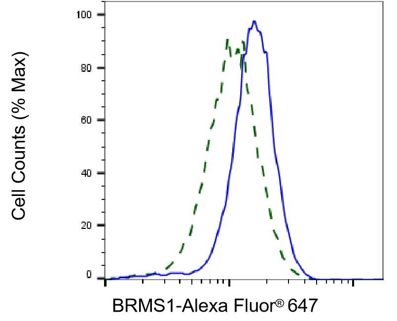 BRMS1 Antibody (23GB3015)