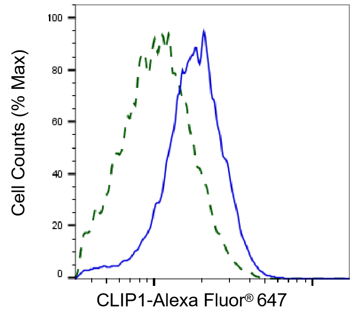 CLIP170 Antibody (23GB3080)