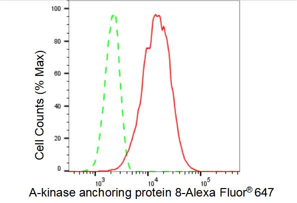 AKAP95/AKAP8 Antibody (23GB2970)