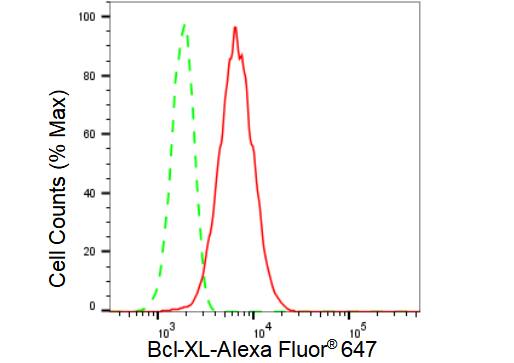 Bcl-xL Antibody (23GB3000)