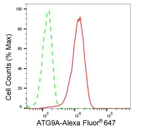 ATG9A Antibody (23GB3245)