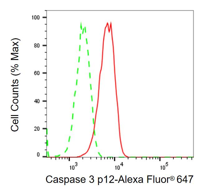 Caspase-3 Antibody (23GB3310)
