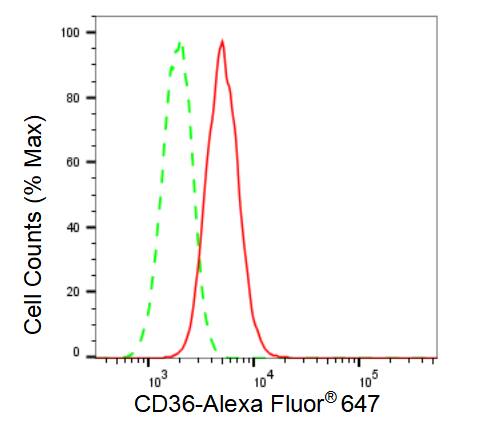 CD36 Antibody (23GB3370)