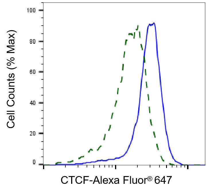 CTCF Antibody (23GB3520)