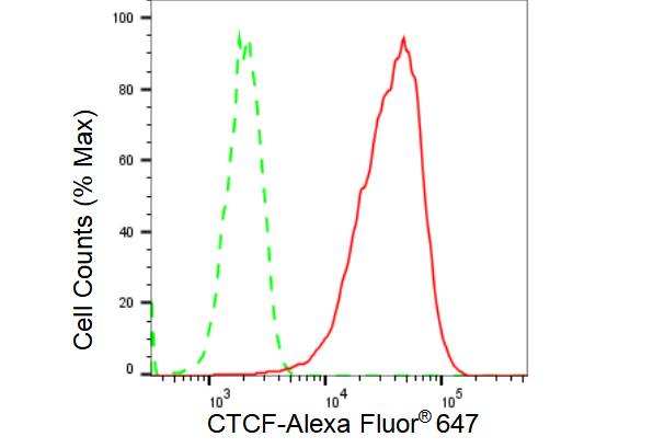 CTCF Antibody (23GB3520)