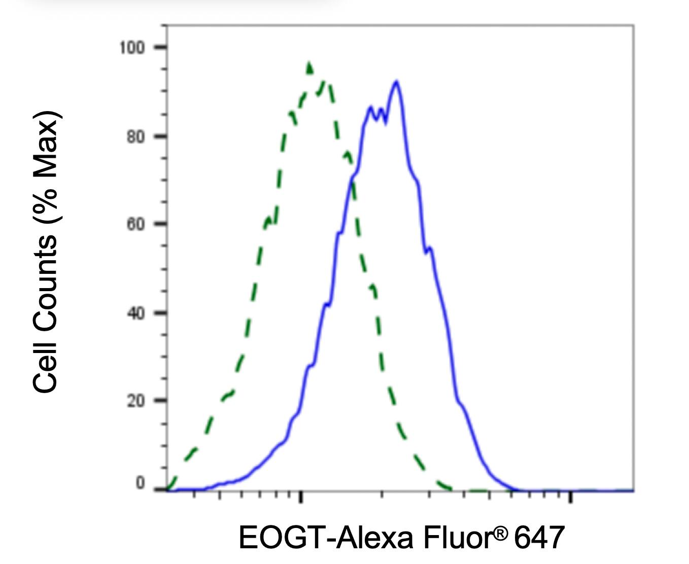 EOGT/AER61 Antibody (23GB3585)