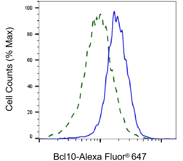 Bcl-10 Antibody (23GB1410)