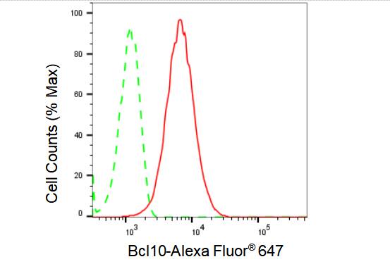 Bcl-10 Antibody (23GB1410)