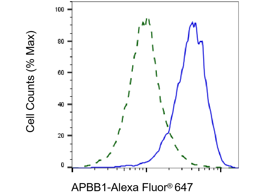 FE65 Antibody (23GB3665)
