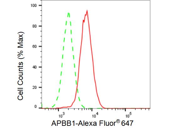 FE65 Antibody (23GB3665)